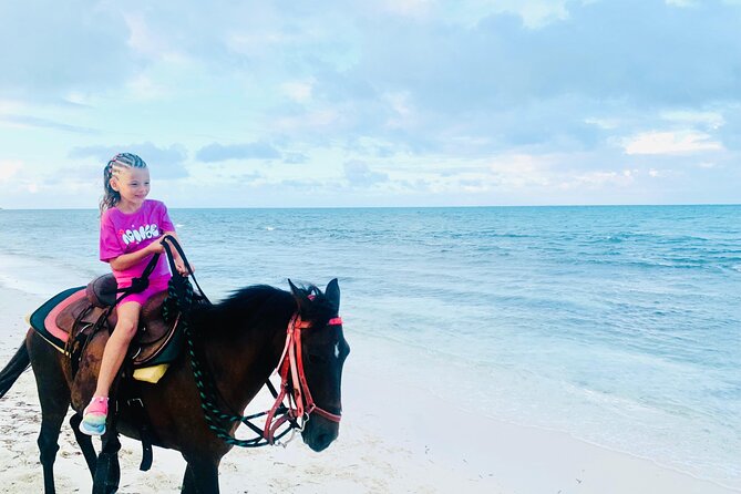 Shared Horseback Riding in Turks and Caicos - Transportation makes planning simpler