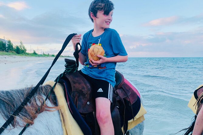 Shared Horseback Riding in Turks and Caicos - The $210 price and what you receive