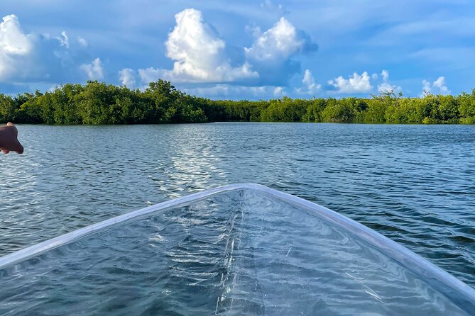 Sip & Sea Mangrove Glass Boat Tour Grand Turk Island - What the private format means for your day