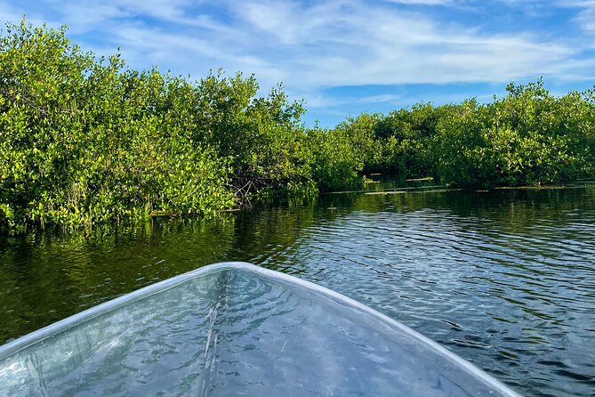 Sip & Sea Mangrove Glass Boat Tour Grand Turk Island - Guides, meeting details, and the practical side