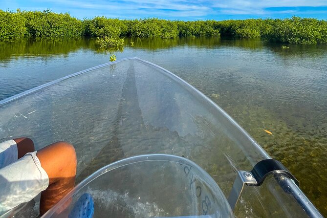 Sip & Sea Mangrove Glass Boat Tour Grand Turk Island - Columbus Landfall National Park and Grand Turk’s salt story
