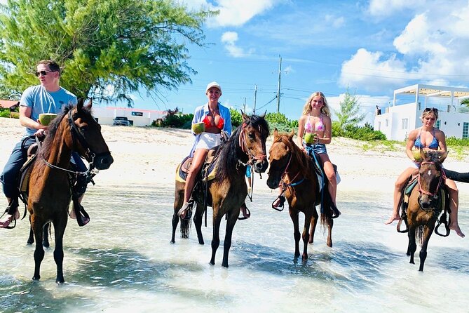 Small Group Horseback Riding Adventure in Caicos Islands - Getting to the Malcolm Road riding site