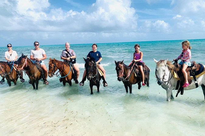 Small Group Horseback Riding Adventure in Caicos Islands - Is $210 a good value for one hour?
