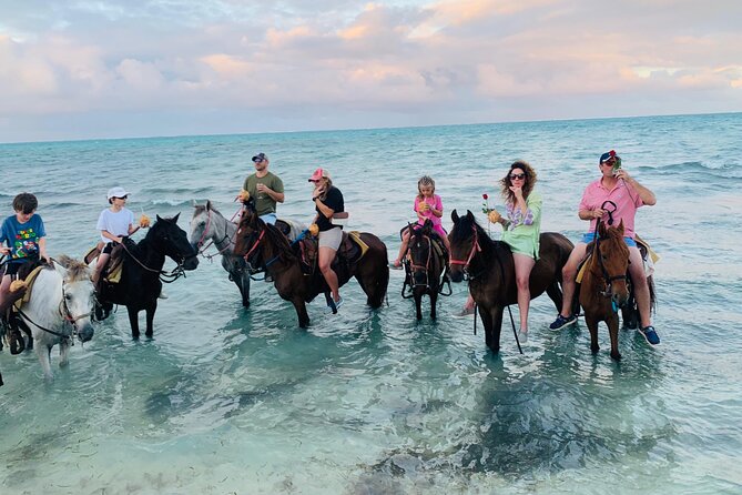 Small Group Horseback Riding Adventure in Caicos Islands - Who will enjoy this ride most?