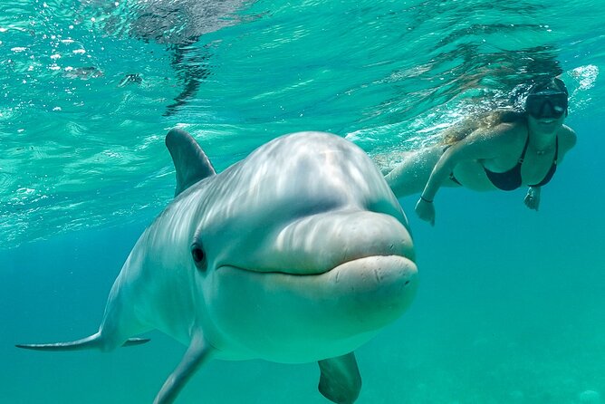 Snorkel Eco Tour - Five things to know before you book