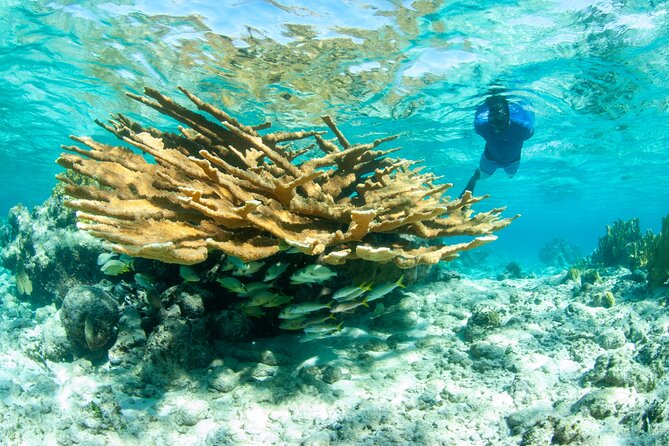 Snorkel Eco Tour - Meeting the crew on Marina Road