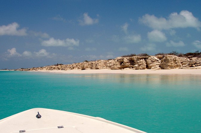 Snorkel Eco Tour - Snacks, drinks, and the small comforts