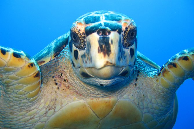 Snorkel Eco Tour - The boat ride to the north shore