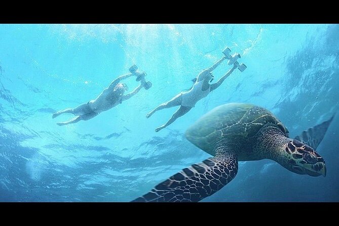 Snorkeling with Sea Scooters and Sea Adventure - Offshore - Is $189 a Fair Price?