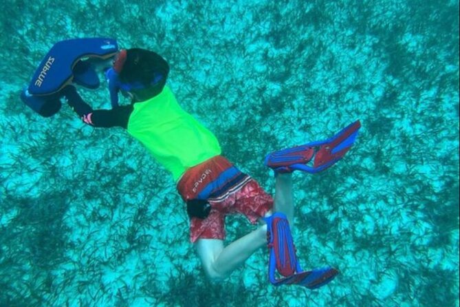 Snorkeling with Sea Scooters and Sea Adventure - Offshore - Weather, Cancellations, and Simple Planning