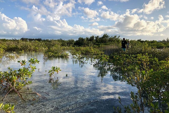 Snuba Adventure at Emerald Reef - Is Snuba Adventure at Emerald Reef Worth Booking?