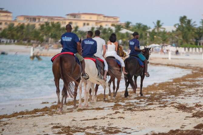 Spectacular Private Beach & Ocean Ride in Providenciales - Why a beach horse ride feels different in Providenciales