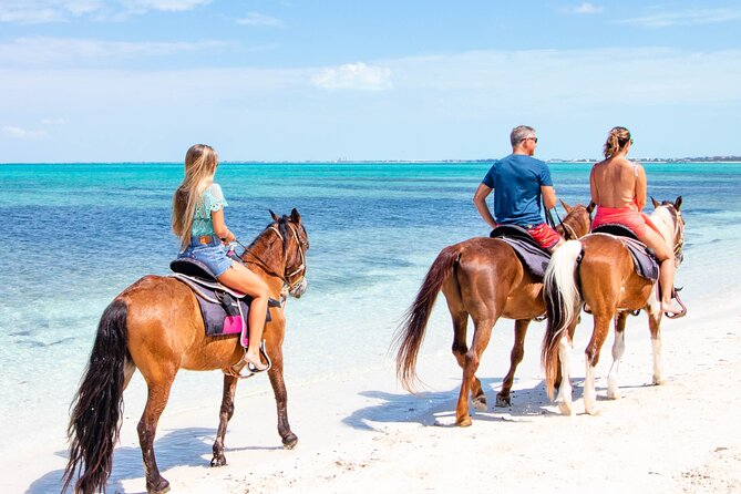 Spectacular Private Beach & Ocean Ride in Providenciales - Meeting the horses and getting your instructions