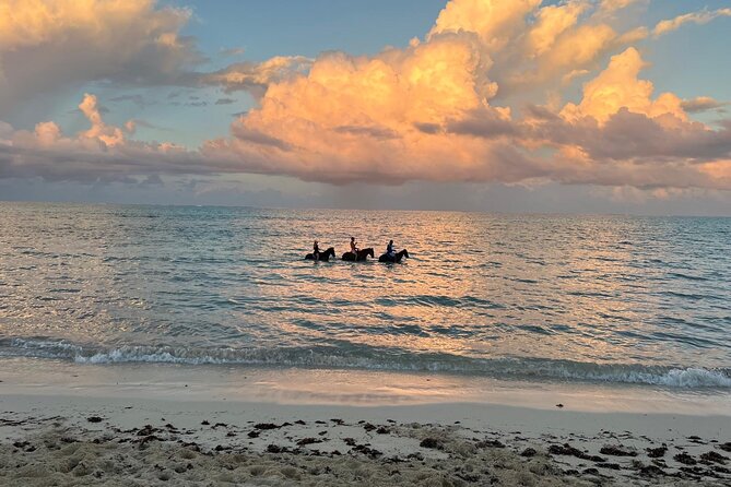 Sunset Horse Ride Experience - Who will enjoy this experience most