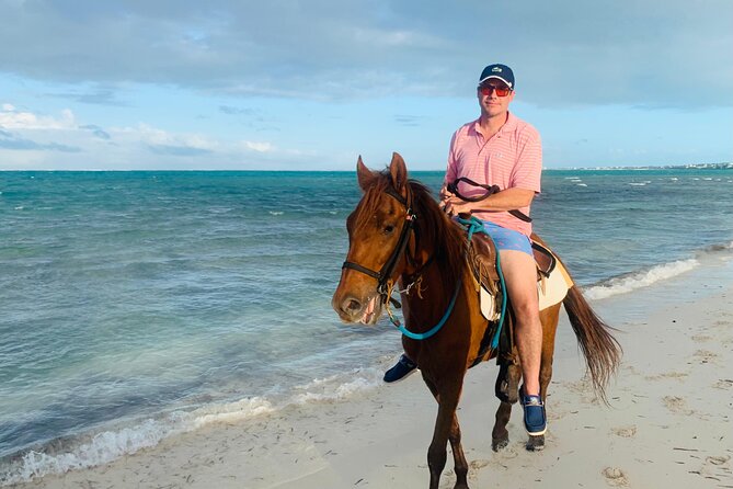 Sunset Horse Ride Experience - Getting to Malcolm Road and meeting the horses