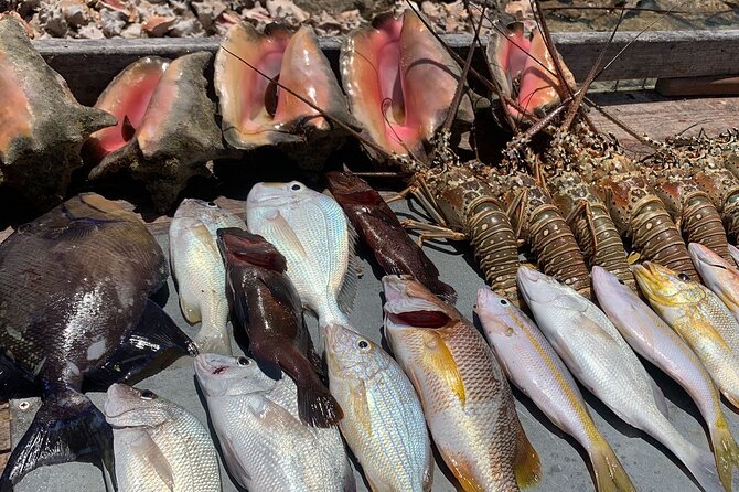 Turks And Caicos 4 Hours Fishing Experience - Starting At South Bank Marina