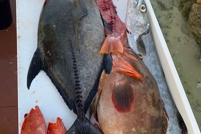 Turks And Caicos 4 Hours Fishing Experience - What The Private Format Adds