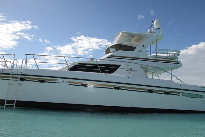 Turks and Caicos Full-Day Luxury Private Yacht Charter - Key points at a glance