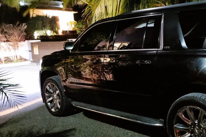 Turks and Caicos: Private ROUND-TRIP Airport Transfer - Family needs, service animals, and group size