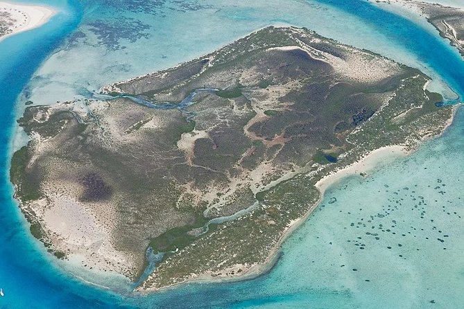 Turtle Eco Tour on Stand-Up Paddleboards or Kayaks into the National Marine Park - Price, duration, and overall value