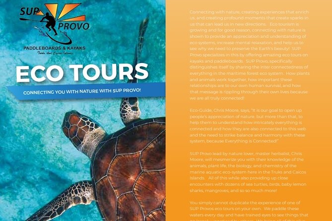 Turtle Eco Tour on Stand-Up Paddleboards or Kayaks into the National Marine Park - Your first minutes on the water