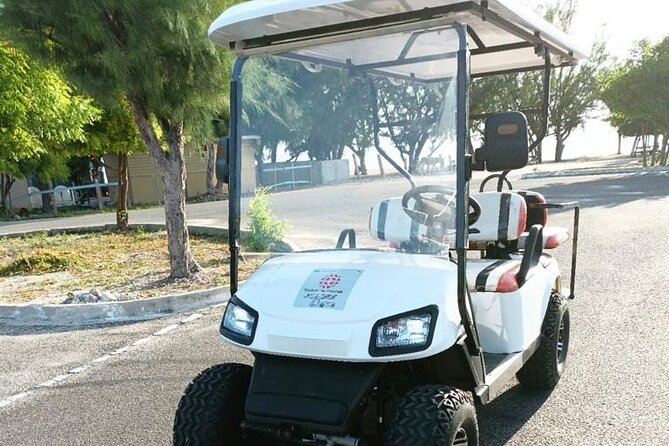 Watkins UTV American Golf Cart Rentals - Key points for a smoother Grand Turk rental