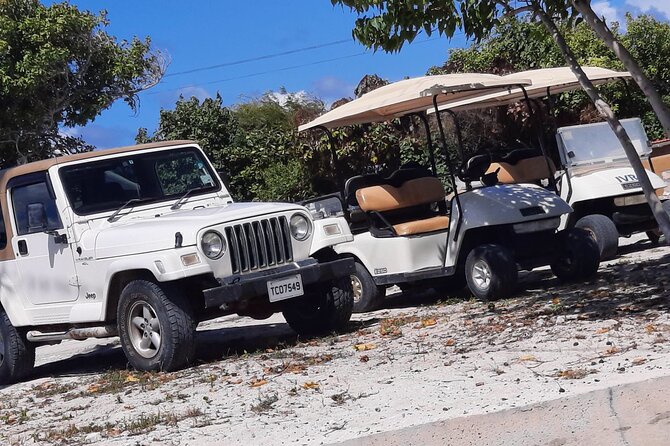 Watkins UTV American Golf Cart Rentals - Price, fuel, and the real value