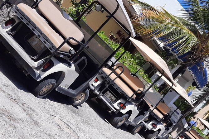 Watkins UTV American Golf Cart Rentals - Service when things go right, and when they do not